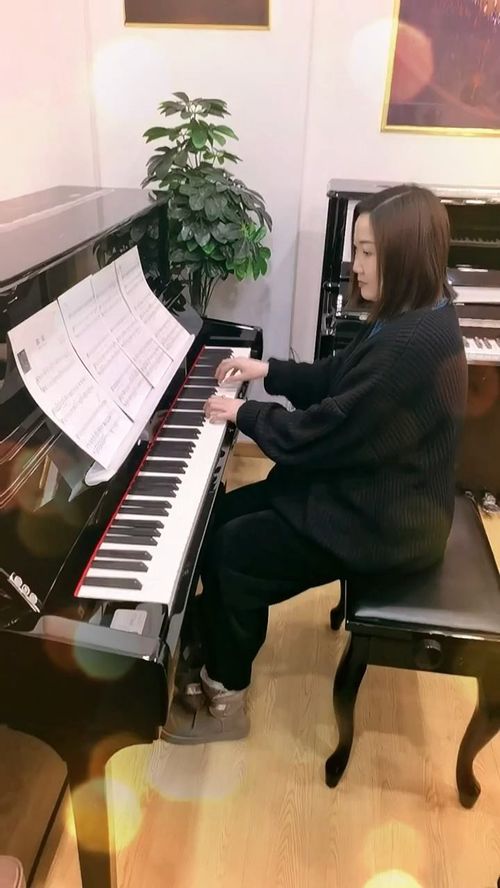 恺撒堡钢琴 成人钢琴教材