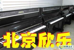 独家生产专卖大立式8118C型数码电钢琴_运动.休闲_世界工厂网中国产品信息库