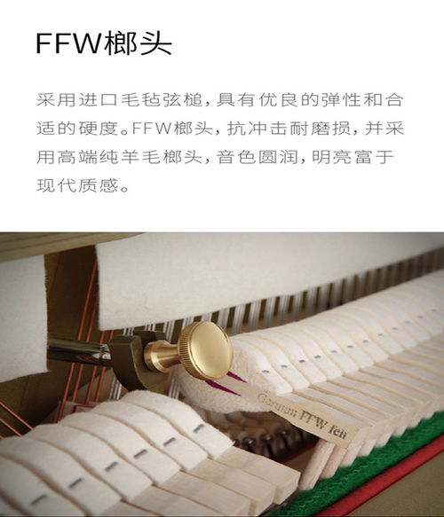 德国卡尔霍夫纳钢琴 阿米巴教育科技公司