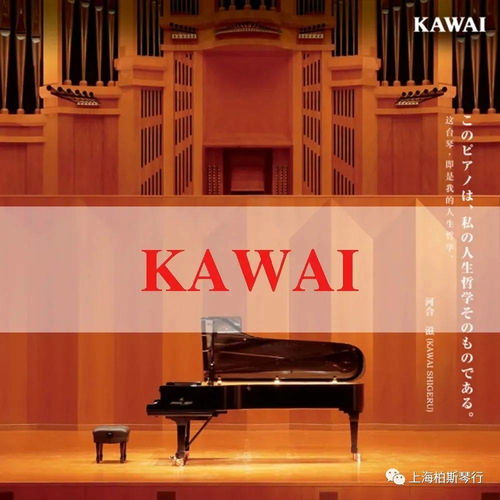 2020 kawai x soul心之乐章钢琴推介会亮点介绍